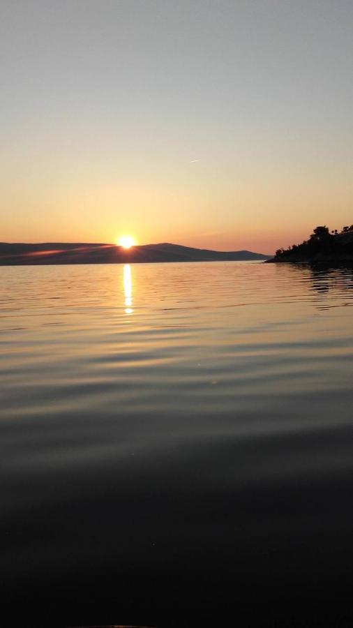 Apartman Larus Starigrad Paklenica Dış mekan fotoğraf