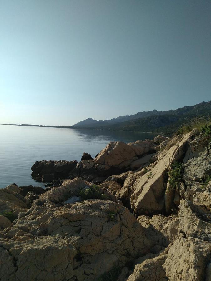 Apartman Larus Starigrad Paklenica Dış mekan fotoğraf