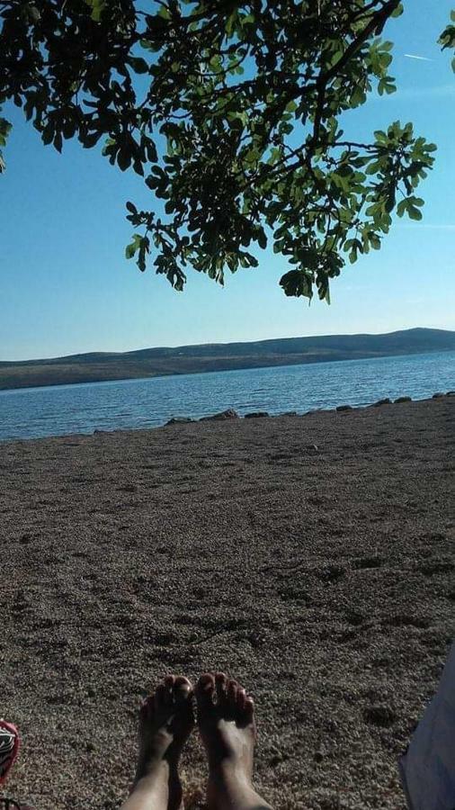 Apartman Larus Starigrad Paklenica Dış mekan fotoğraf